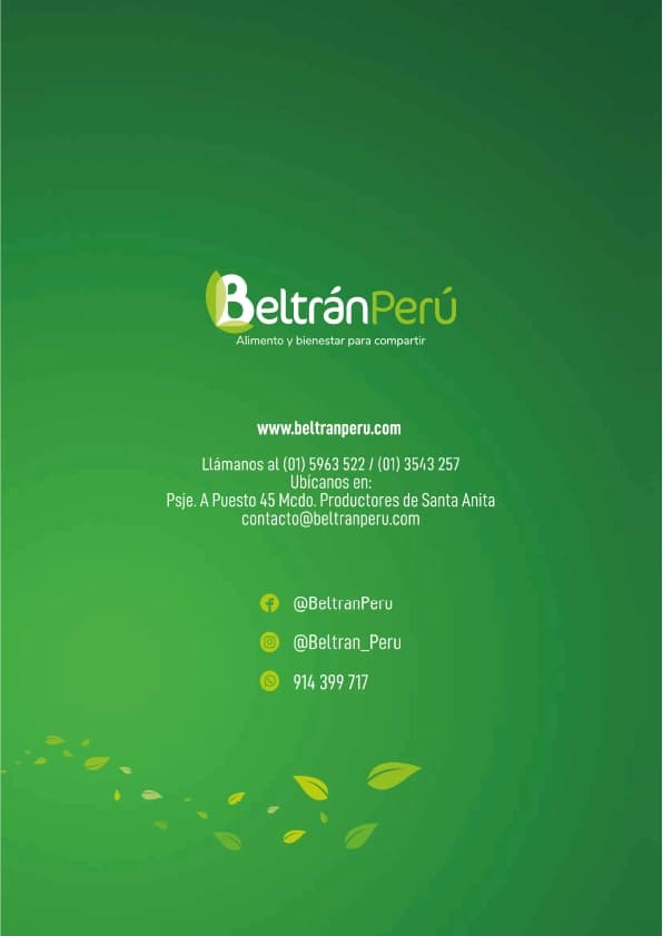 Catálogo Diciembre, página 13